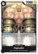 Card art for Hajrudin (OP04-088)