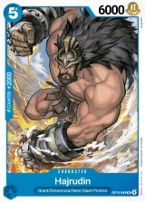 Card art for Hajrudin (OP15-049)